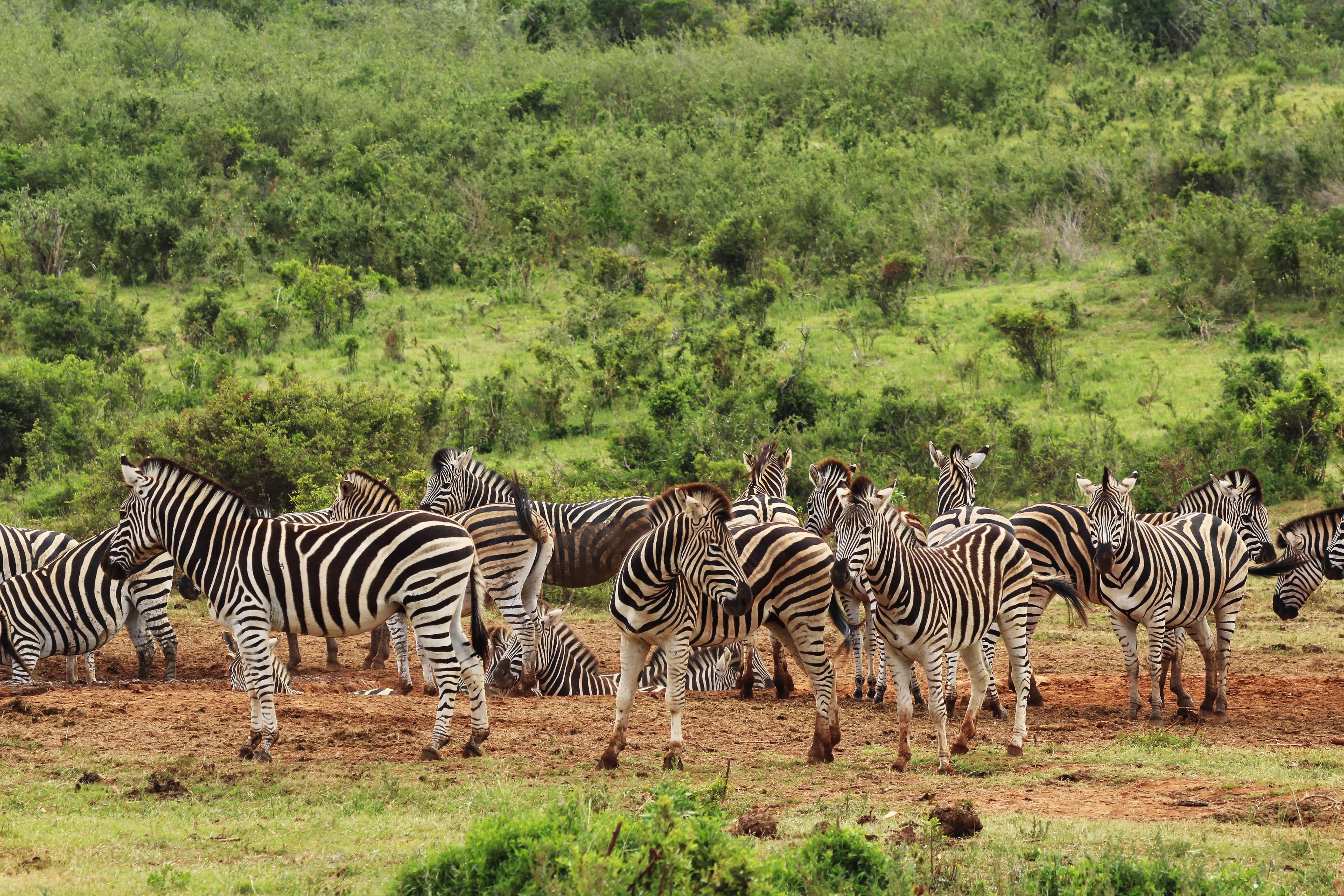 Naivasha - Lakes & Relaxation in Kenya